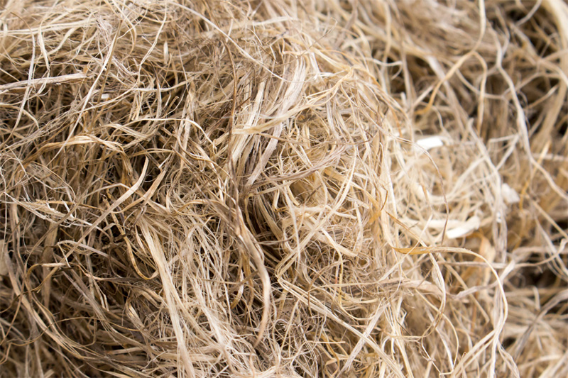 Close up of tan hemp fibers