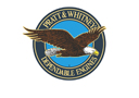 Pratt & Whitney